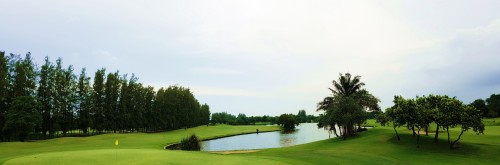 The Pine Golf & Lodge 소개